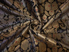 HEAVY BROCADE FABRIC JET BLACK, RED X OLD METALLIC GOLD 36" wide BRO67[5]