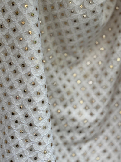 Indian Mukesh Embroidery, 44" wide and 3 yards long.[17689]