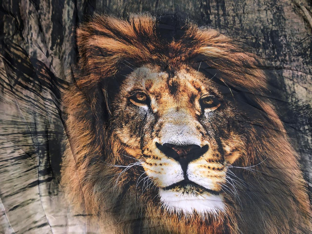 新品 タグ付き Leonardo Lion M ライオン ネオ🦁 Name:NEO✨KING