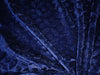 Devore Embossed Viscose Burnout Velvet fabric navy blue 44" wide