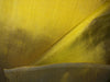 100% pure silk dupioni fabric YELLOW color 54" wide DUP399[2]