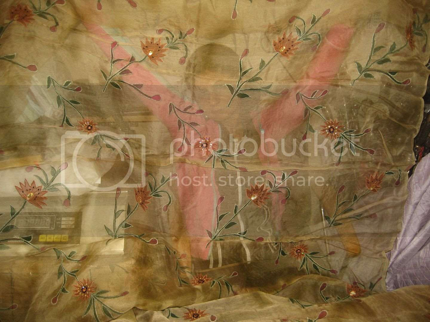 100 % SILK ORGANZA FABRIC Light Gold COLOUR embroidered 44&quot; wide