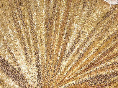 Net Fabric with sequin gold  58'' wide [18601]