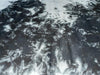Tencel Dobby Tie Dye Black X White [marble] color Print ~ 58"wide