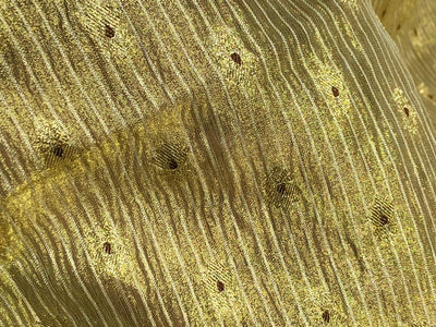 Tissue Crushed sheer mina MOTIF jacquard fabric 44"wide available in 3 colors gold, silver gold and silver grey[18254/55/56/57]