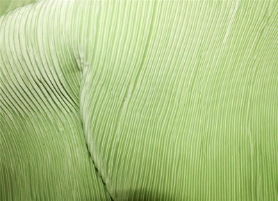 Lime Green color Polyester Pleated Fabric ~ 58&quot; Wide