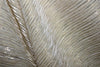 Champagne x Gold Lurex Pleated Fabric ~ 58&quot; wide