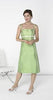 silk dupioni fabric~bright apple green