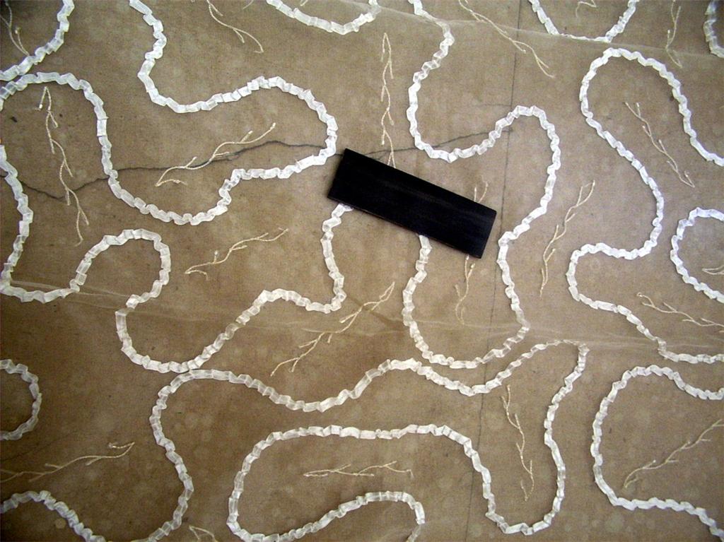 light ivory silk organza 44" ribbon embroidery