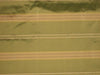 SILK TAFFETA FABRIC stripes~Apple Green n lime yellow colour