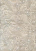 Organza fabric- emb. w/white beads off white 44&quot; wide [408]