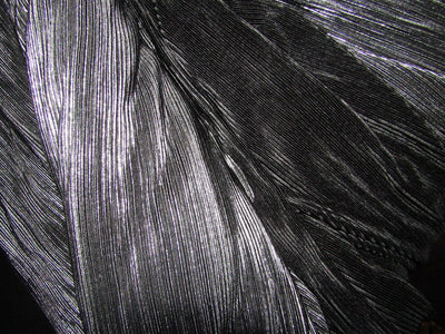 Lurex Pleated Fabric 58" Wide available in two colors