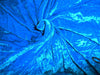 Imported Plush Silk Turquoise Velvet Fabric ~ 44&quot; wide