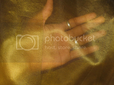 GOLD WITH BLACK SHOT SILK ORGANZA FABRIC 54&quot; WIDE