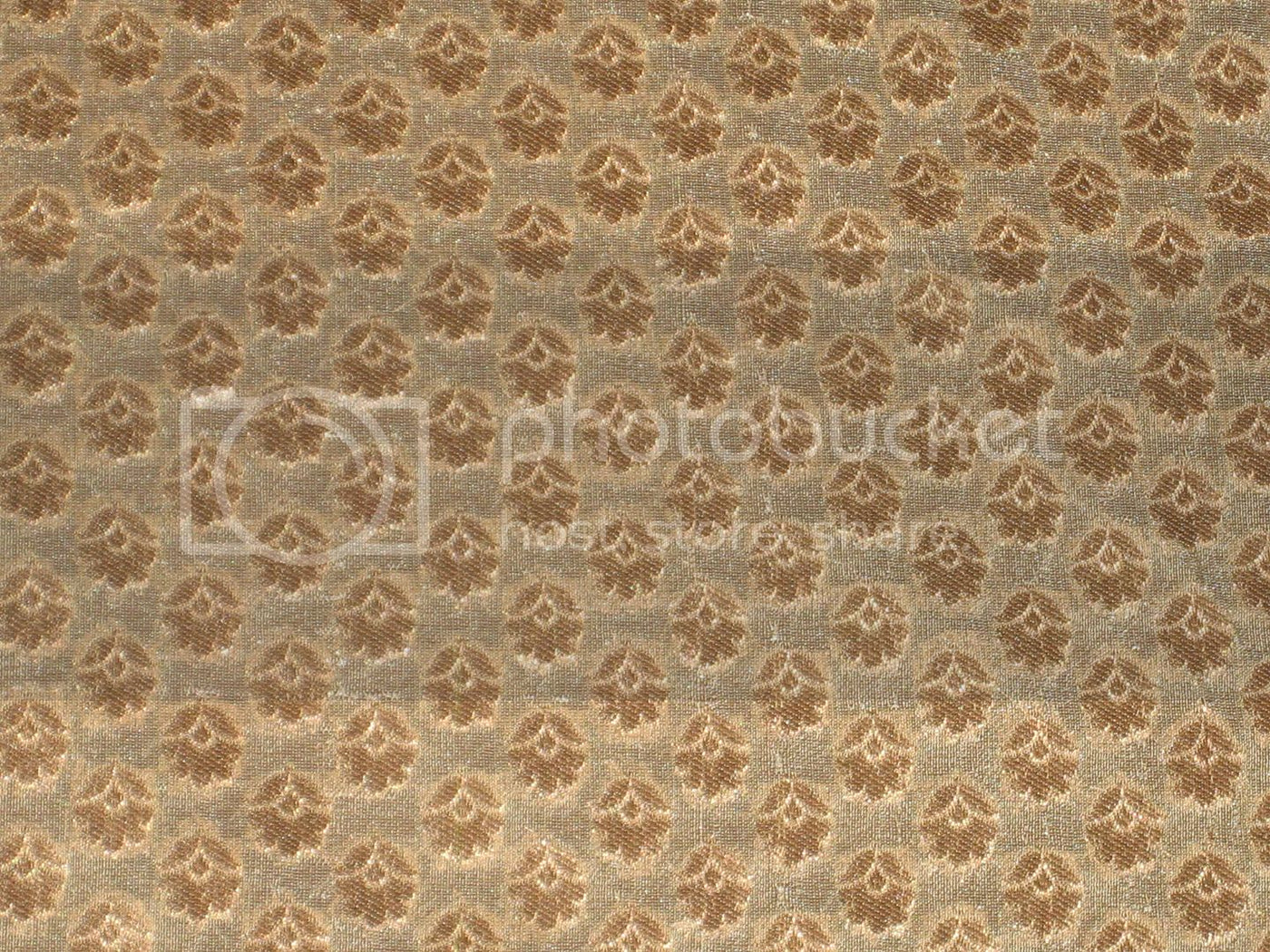 Silk Brocade Fabric Champagne &amp; Metallic Gold color 44" wide BRO185[4]