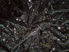 Black VELVET LYCRA Fabric with black color SEQUENCE 58" Wide [10164]