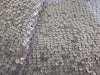 Net Fabric with silver color SEQUENCE lycra 58&quot; Wide